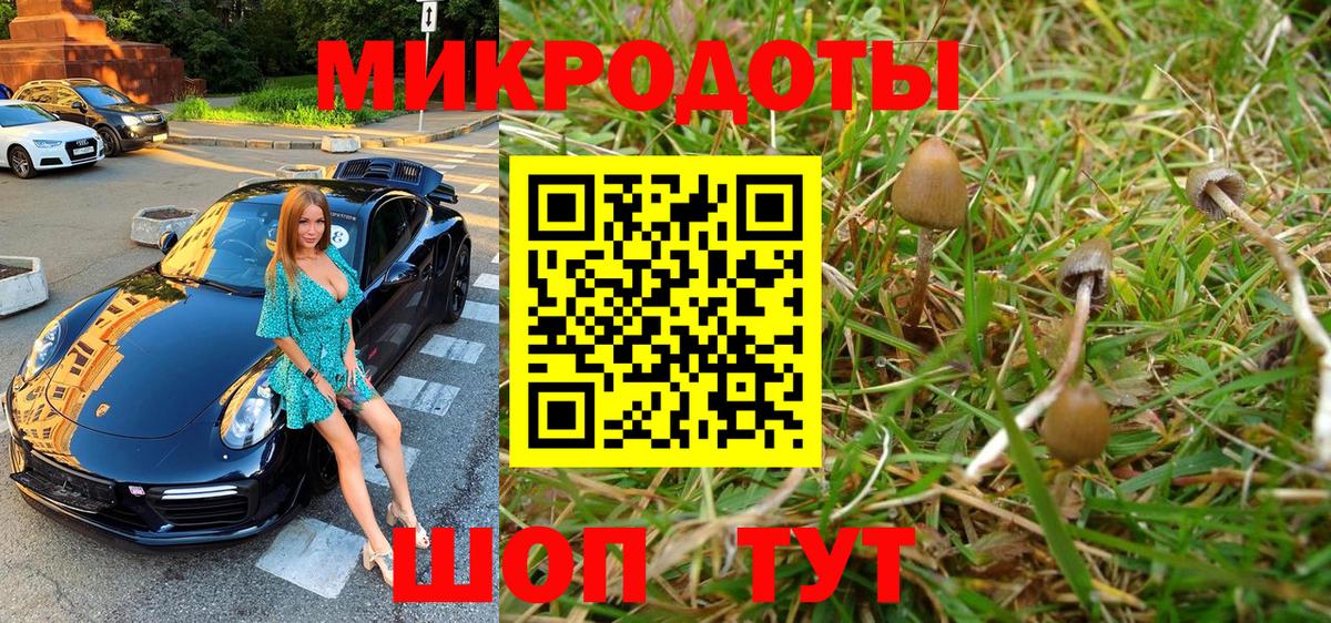 Сосновоборск  Псилоцибиновые грибы Magic Shrooms  Вход с VPN 