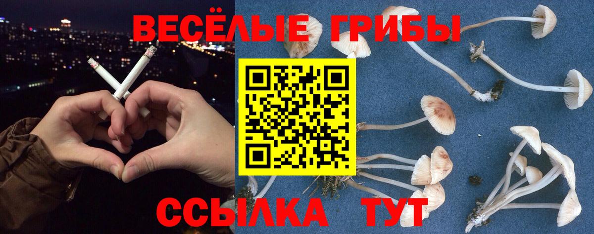 Галлюциногенные грибы GOLDEN TEACHER Сосновоборск